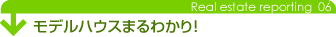 �V�z��������