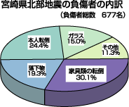 宮崎県北部地震の負傷者の内訳